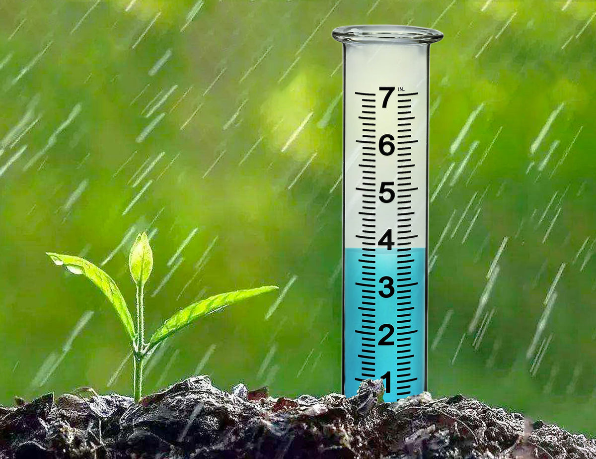 JMBay rain gauge tube with large font for quick, accurate readings.