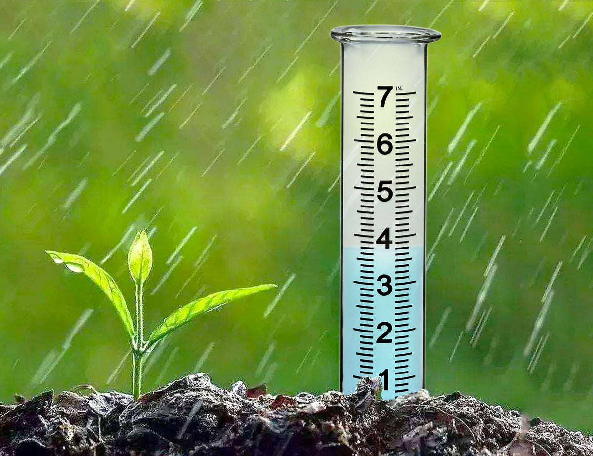 JMBay rain gauge tube with large font for easy readings.