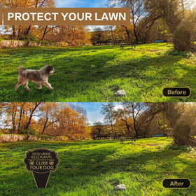 JMXINHANG garden scene with yard sign helps deter dogs from restricted zones.