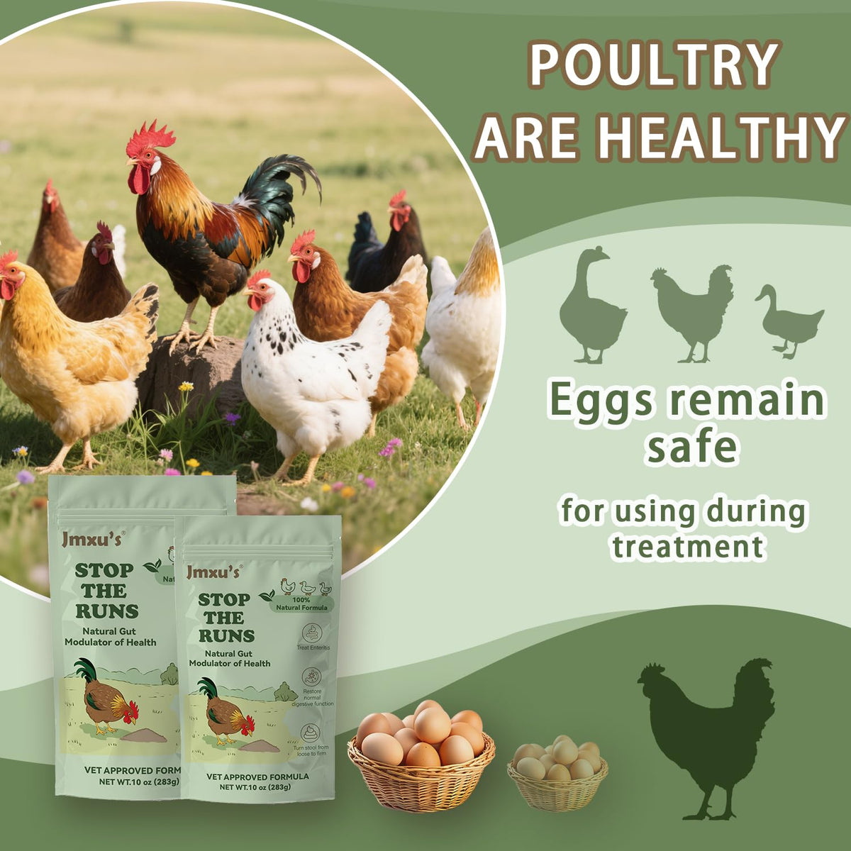 Jmxu's Chicken Gut Modulator water-dosing scene demonstrates administration.