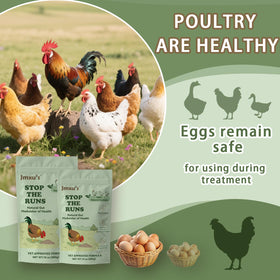 Jmxu's Chicken Gut Modulator water-dosing scene demonstrates administration.
