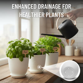 JNGROW complete indoor garden setup enables year-round herb growth.