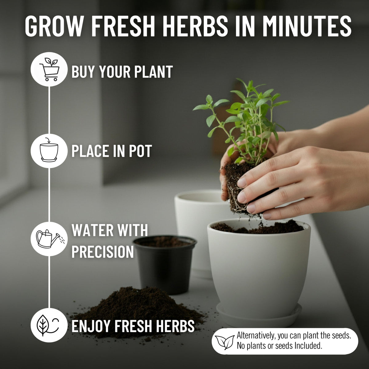Fresh herbs growing in JNGROW pots on a bright counter.