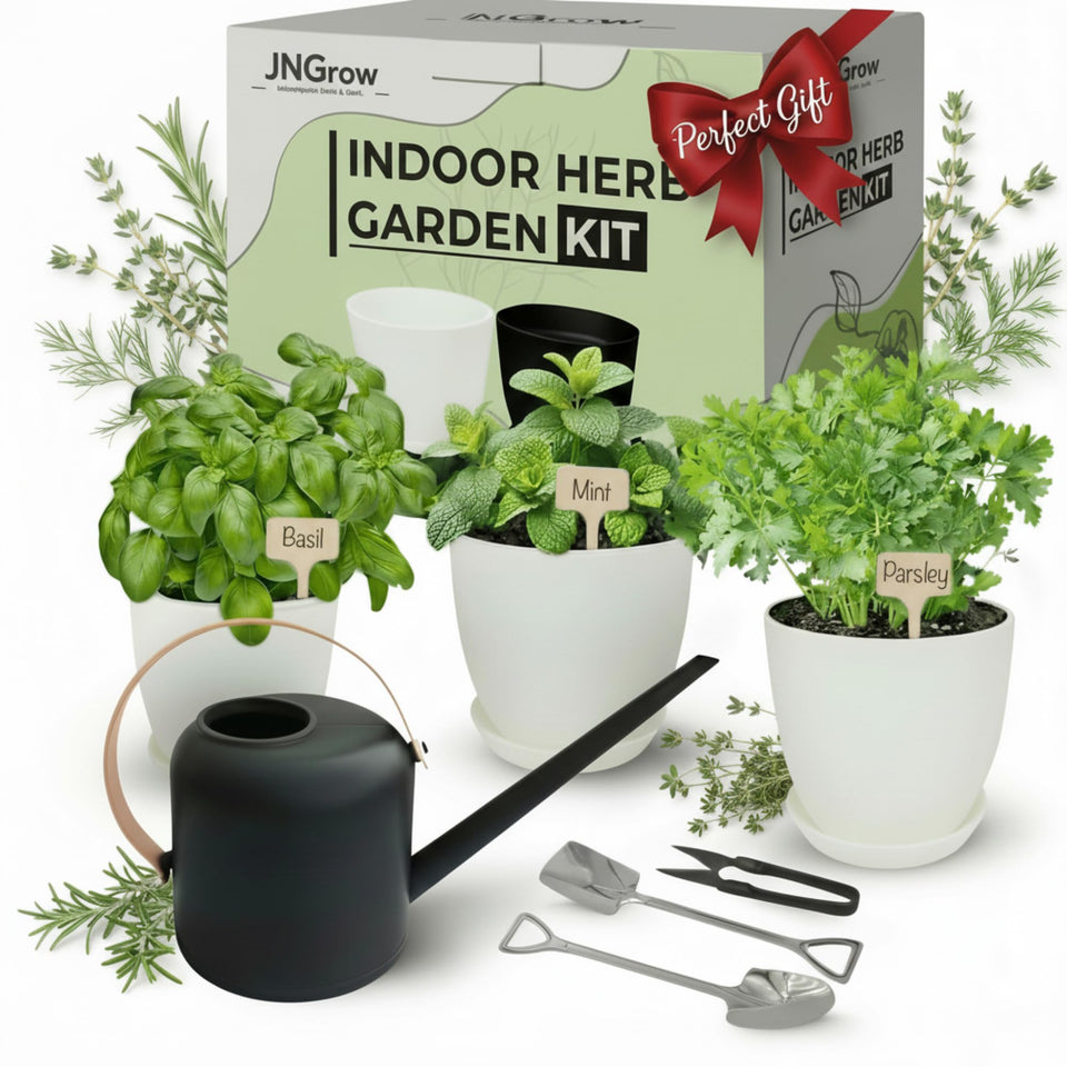 JNGROW indoor garden kit with large pots for healthier herb growth.