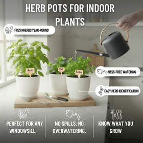 JNGROW premium watering can included for precise indoor irrigation.
