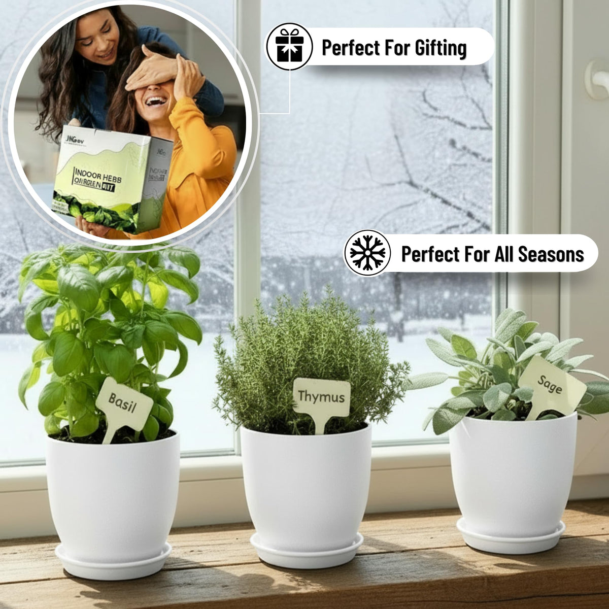 Transplanting store herbs into JNGROW pots for quick success.