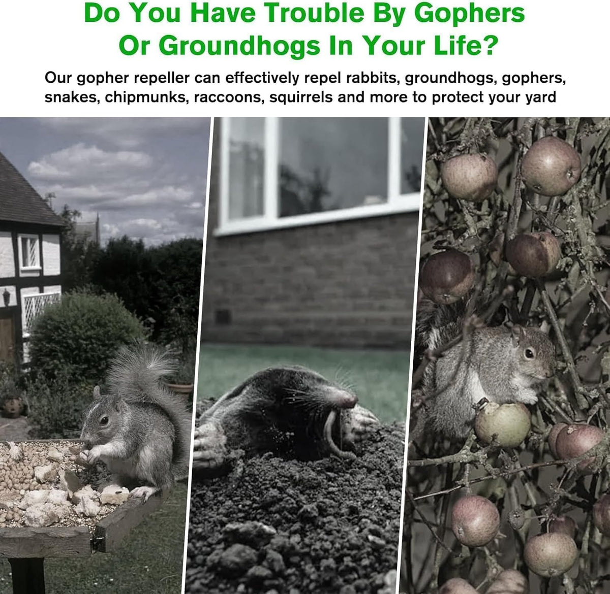 JNKNT solar panel powered mole repellent provides maintenance-free operation.