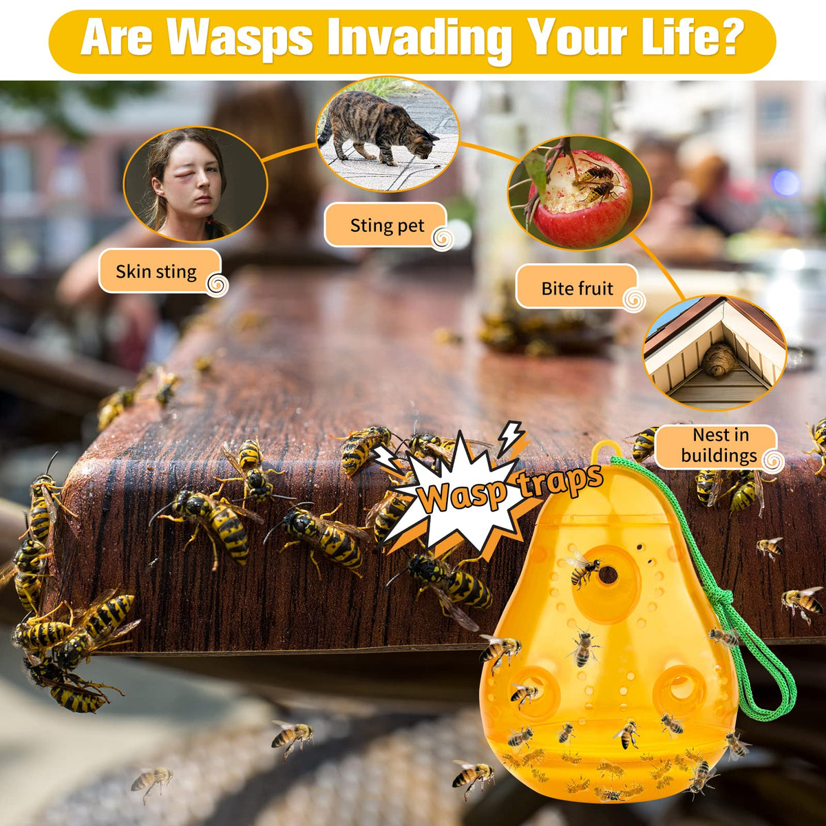 JNKNT Wasp Trap ABS material durability against rain and sun.