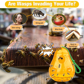 JNKNT Wasp Trap ABS material durability against rain and sun.
