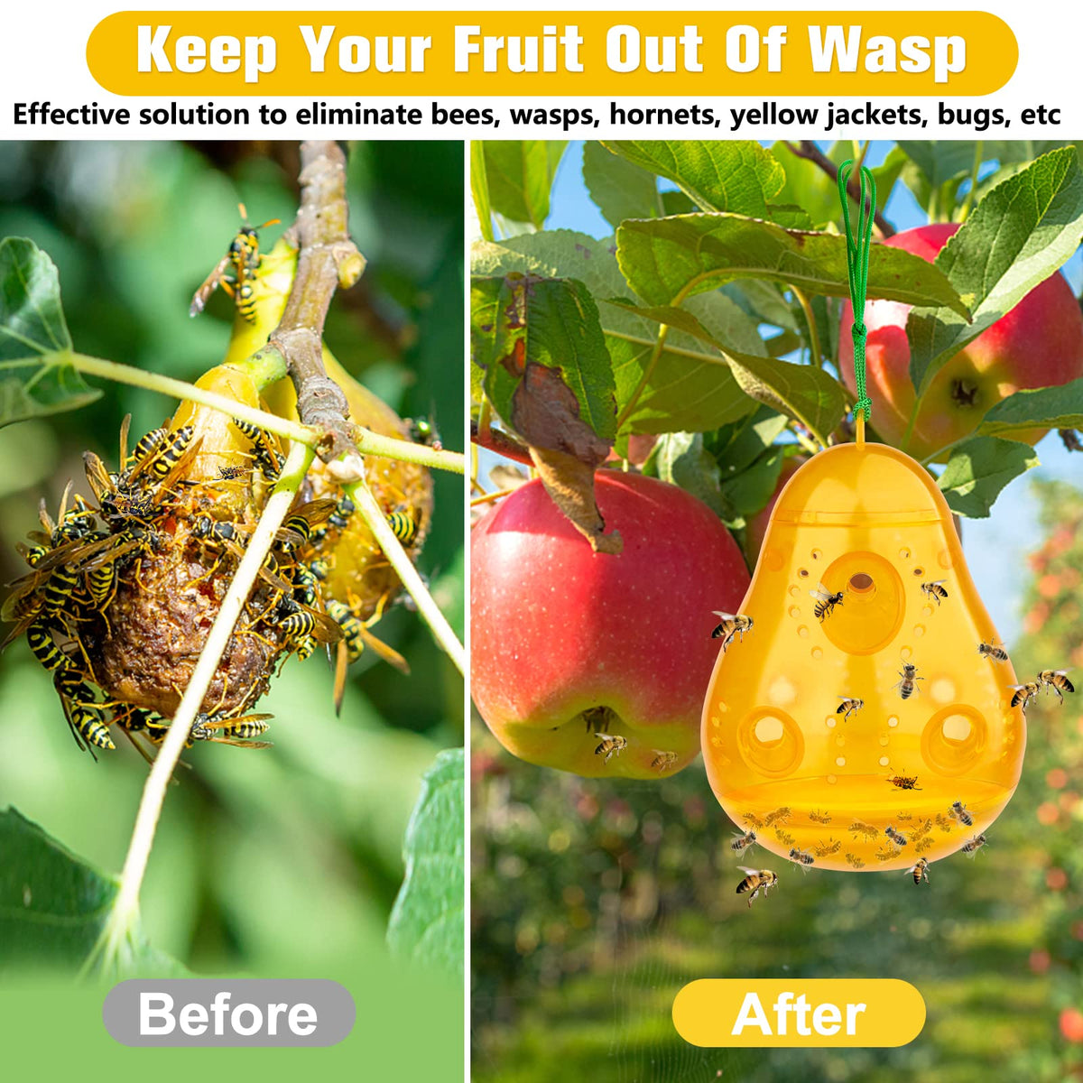 JNKNT Wasp Trap features six inlets and air holes for scent.