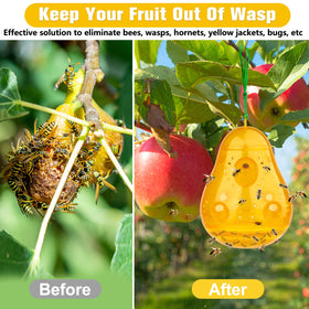 JNKNT Wasp Trap features six inlets and air holes for scent.