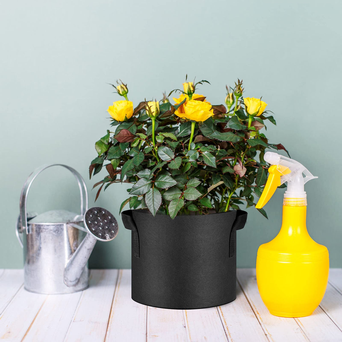 JNYONG 3-gallon black grow bag offers convenient size for compact gardens