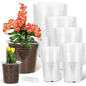 JNYONG clear nursery pot 3.5-inch with drainage holes for quick root growth monitoring.