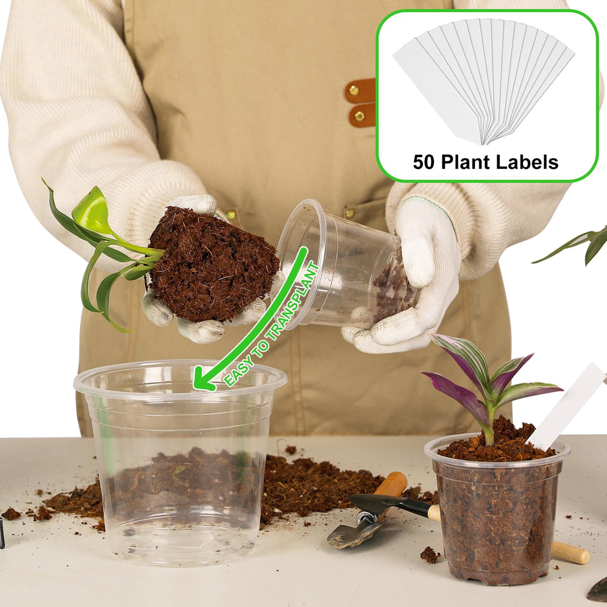 JNYONG clear nursery pot 5-inch for versatile home garden setups and plant growth.