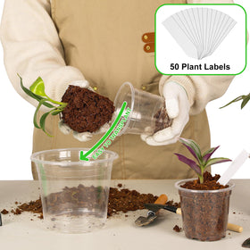 JNYONG clear nursery pot 5-inch for versatile home garden setups and plant growth.