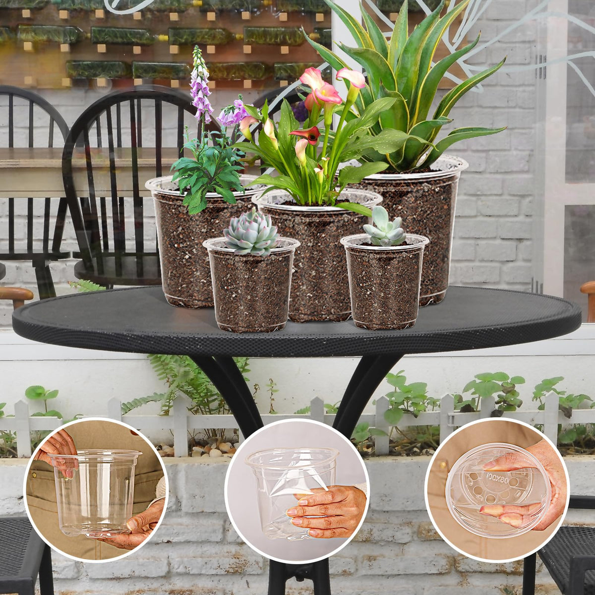 JNYONG clear nursery pot 7-inch for larger plants and long-term growth projects.