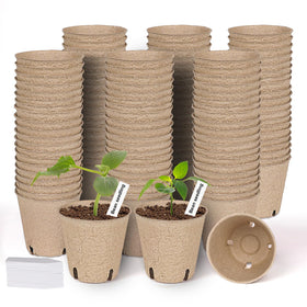 JNYONG 3.15-inch peat pot ready for seedling growth.