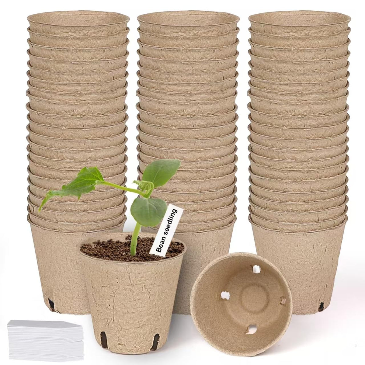 JNYONG 3.15-inch peat pots with drainage holes for easy seed starting.