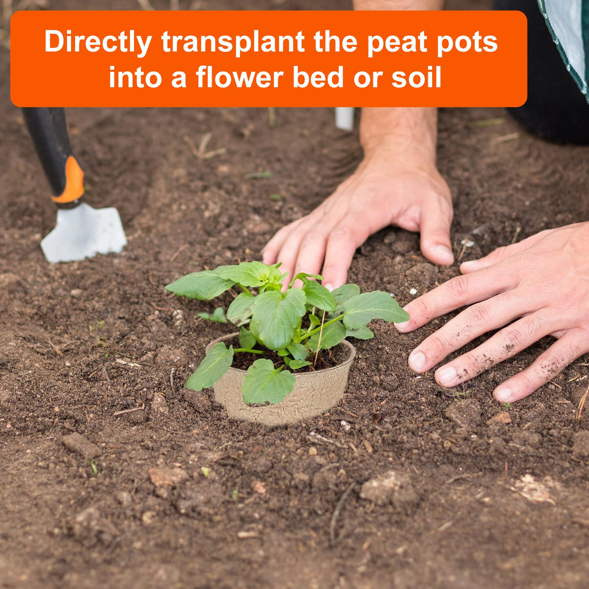 JNYONG seedling pots ideal for vegetables and fruits growth.