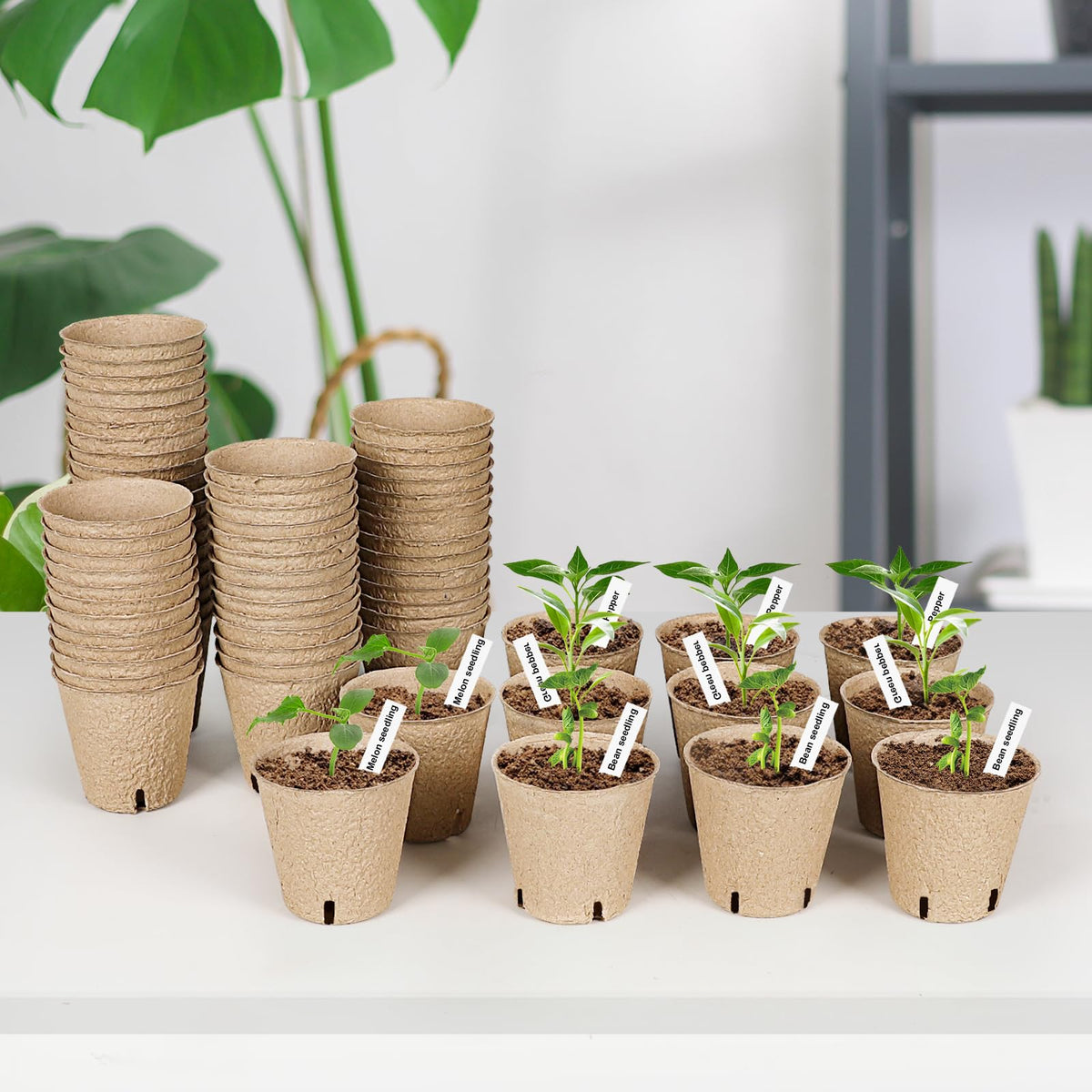 JNYONG sustainable pulp-based pots designed to decompose after planting.