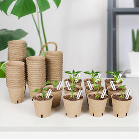 JNYONG sustainable pulp-based pots designed to decompose after planting.