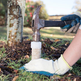 No mess, no odors with Jobe's safe, runoff-minimizing formula.