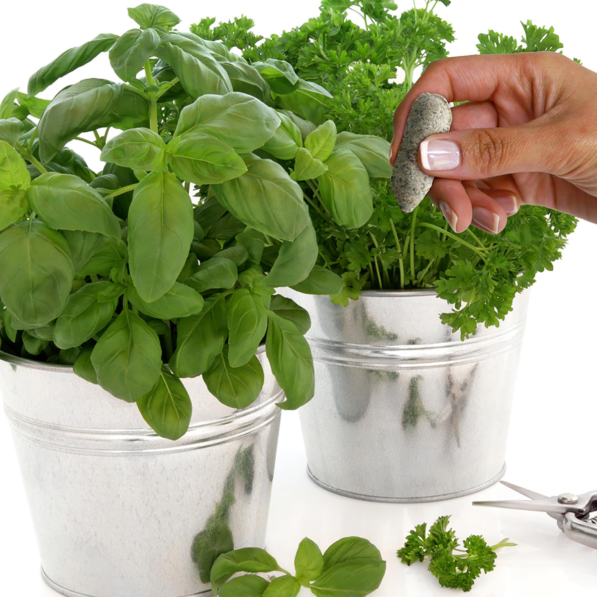 Jobe’s Organics herb spikes with 50-count packaging and 4-3-3 NPK label.