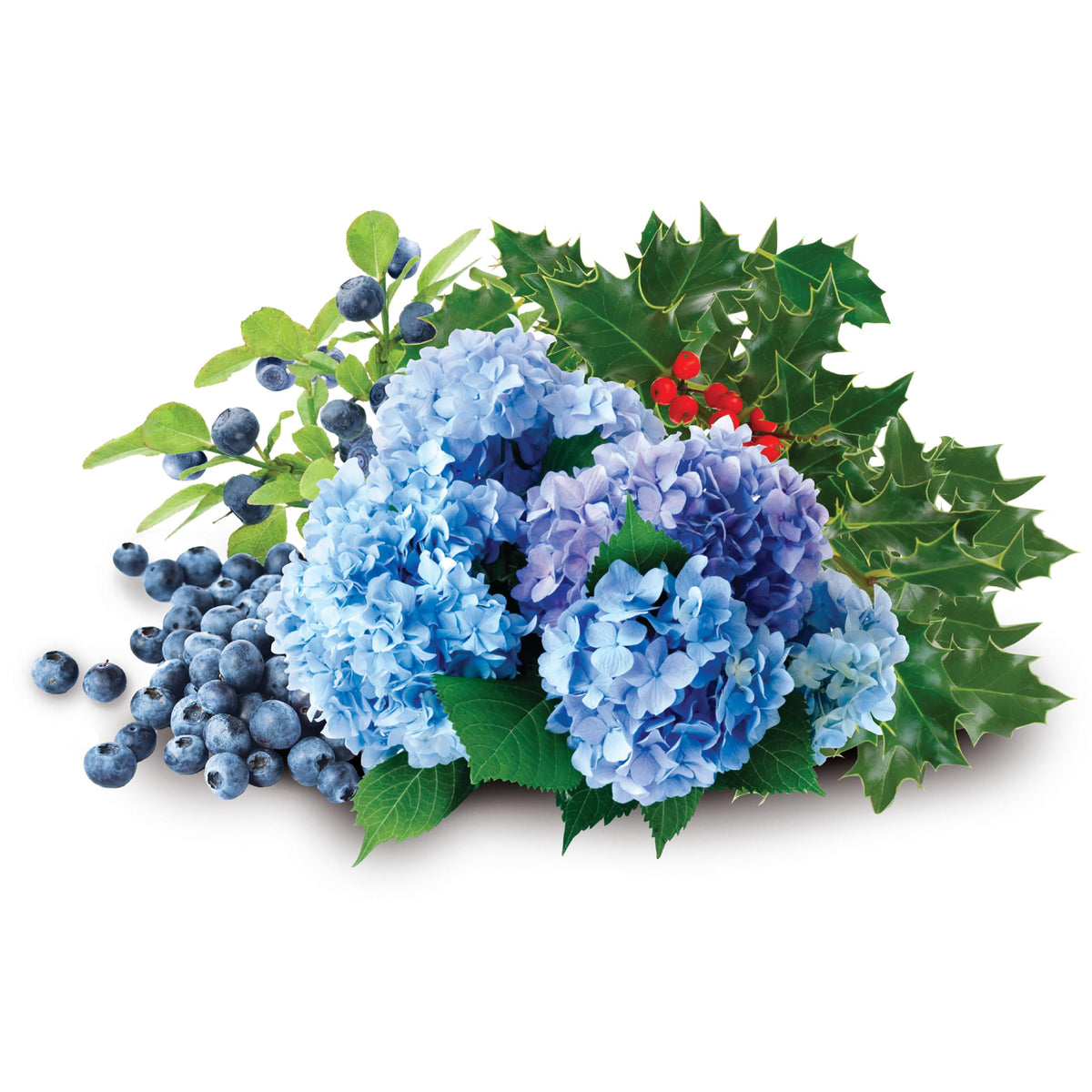 Blueberry and hydrangea soil ready with Jobe's Organics pH adjustment