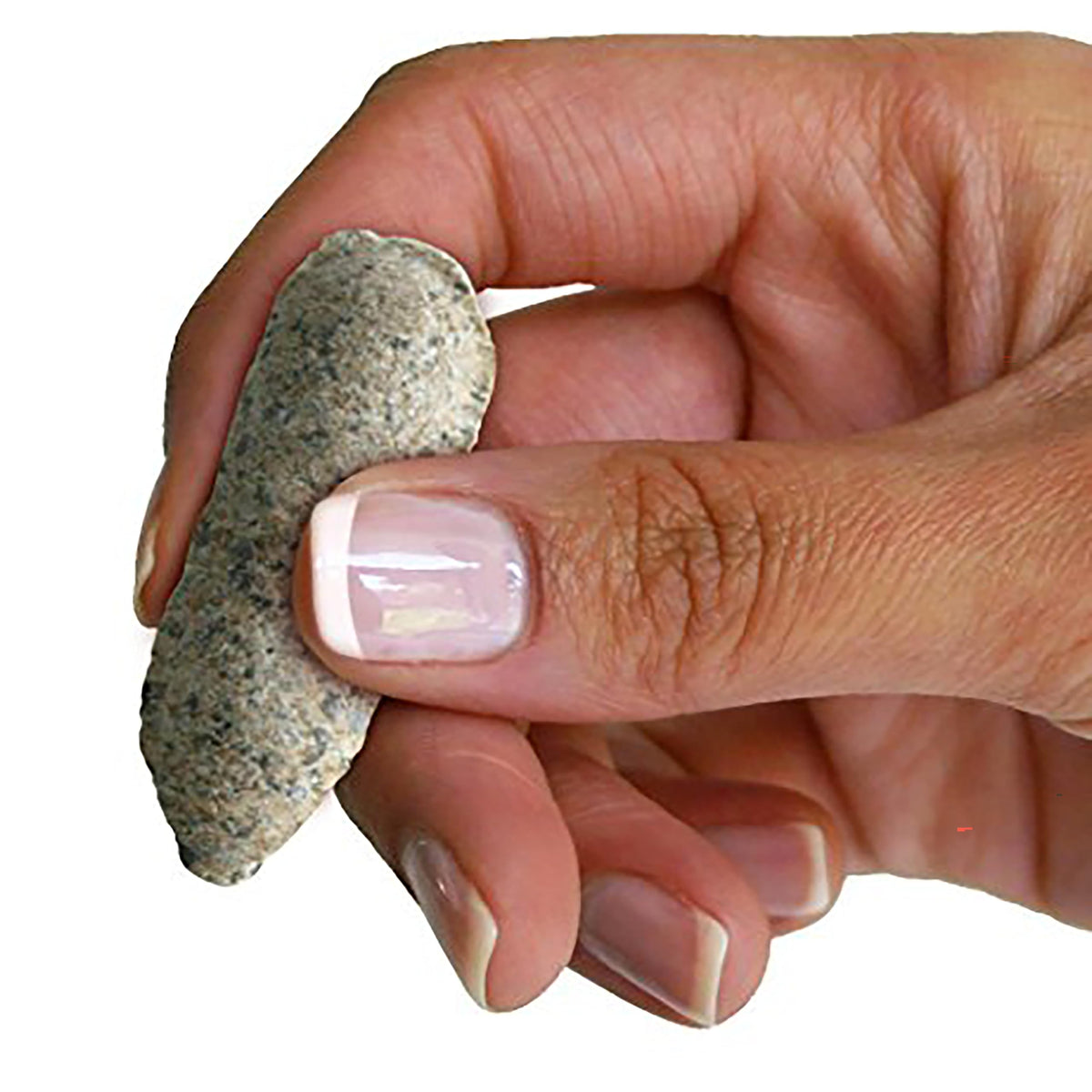 Jobe's Organics easy-application spikes demonstrated for quick feeding.