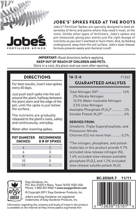Jobe's Organics fern-palm-spikes application, mess-free feeding that supports vibrant fronds.