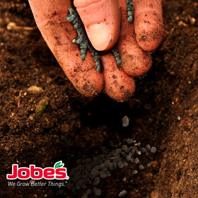 Blooming hydrangeas and azaleas nourished by Jobe's Organics fertilizer