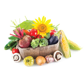 Soil with beneficial microorganisms boosted by Jobe’s Organics.