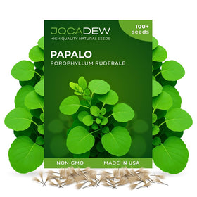 JOCADEW papalo seeds pack for home gardens and fresh herb harvest.