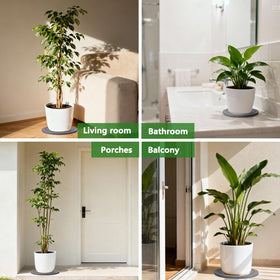 Johamoo professional-looking dry tray suits executive spaces and home interiors.