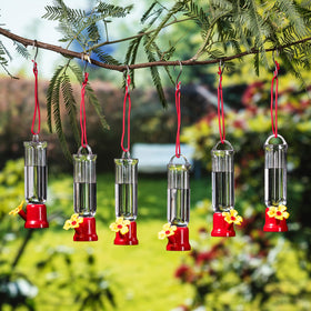 Vibrant colors and clear ports encourage viewer interest and visits.