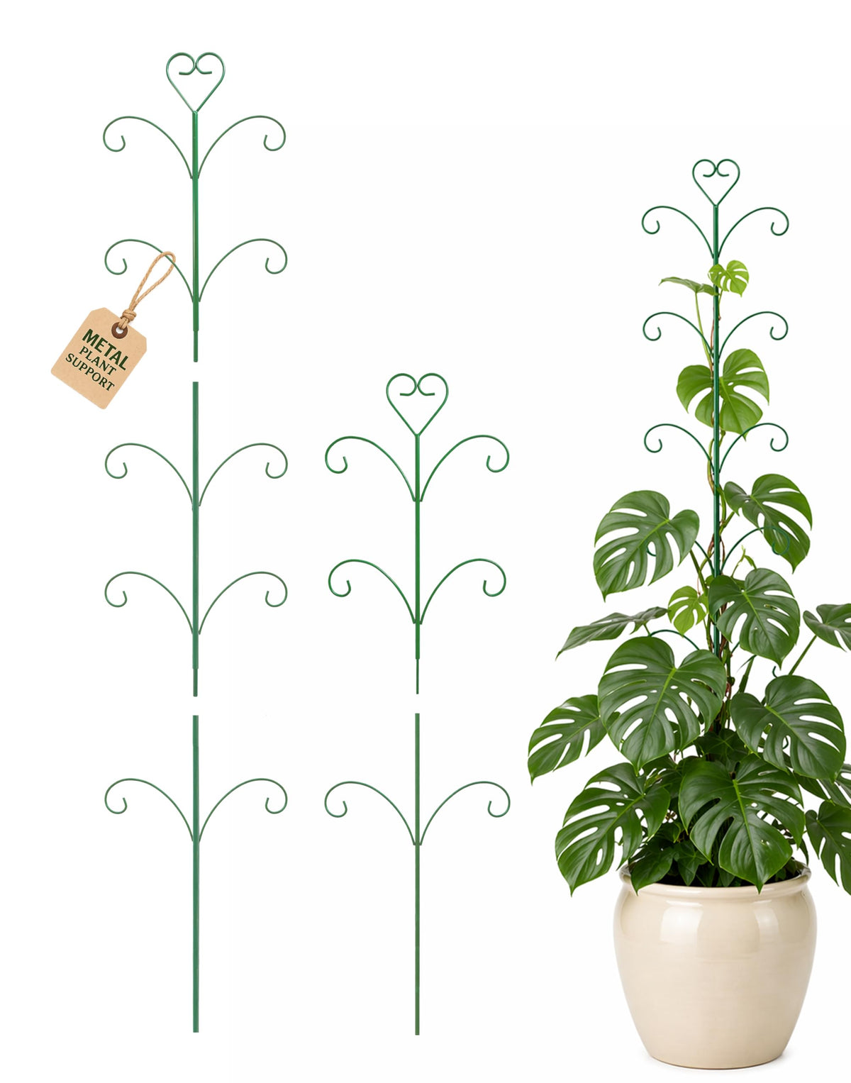 JoinGreen Monstera stake 31-inch offers sturdy vertical support for growing plants.