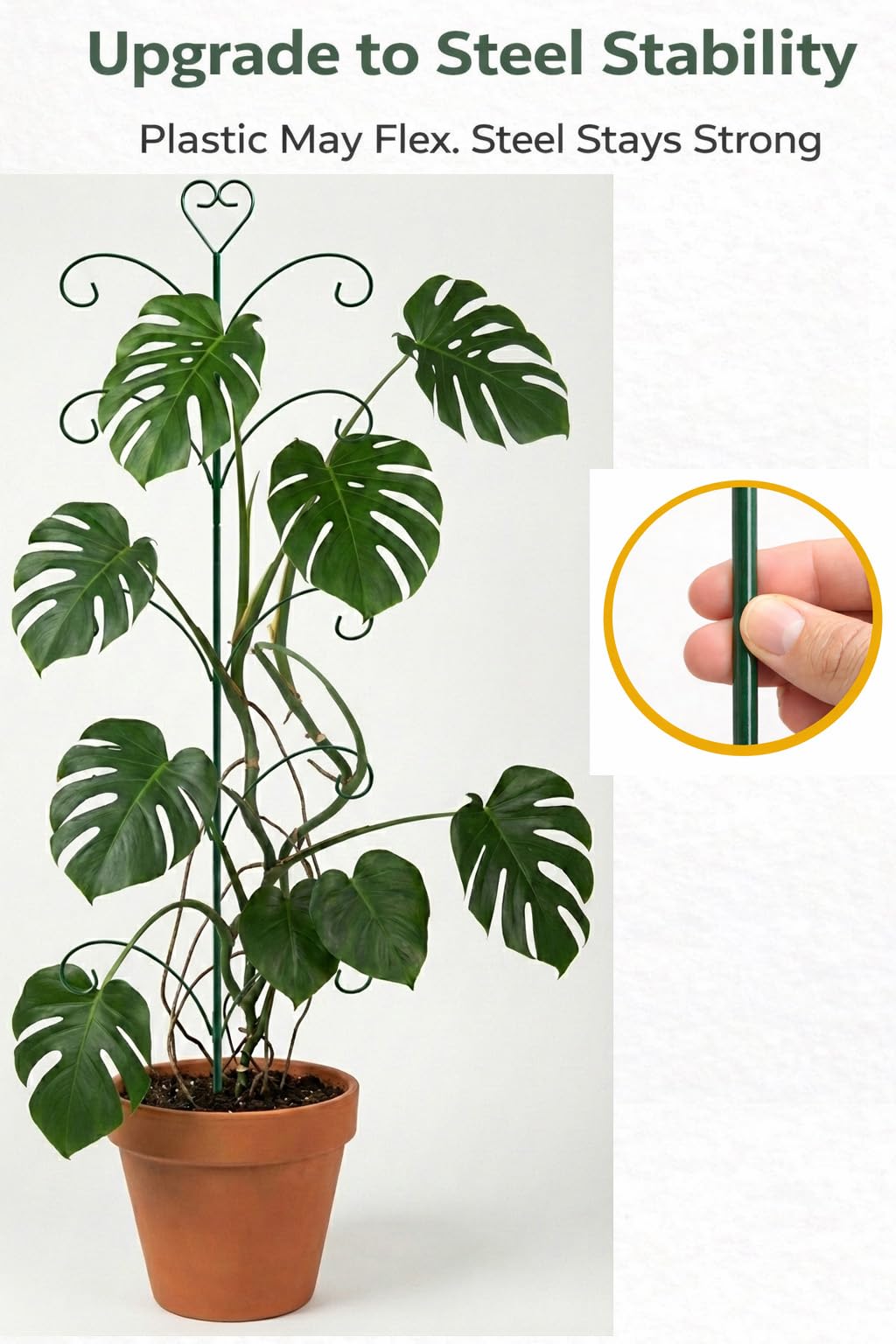 JoinGreen Monstera stake 46-inch provides extra height for climbing greens.
