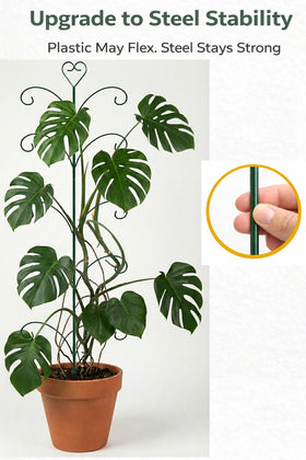 JoinGreen Monstera stake 46-inch provides extra height for climbing greens.