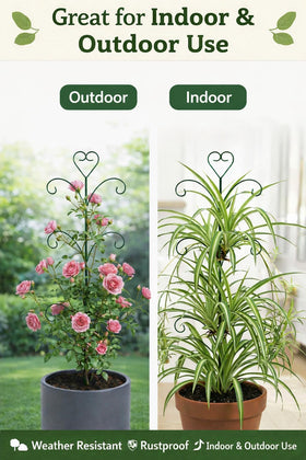 JoinGreen versatile support for pothos, ivy, and hoya varieties.