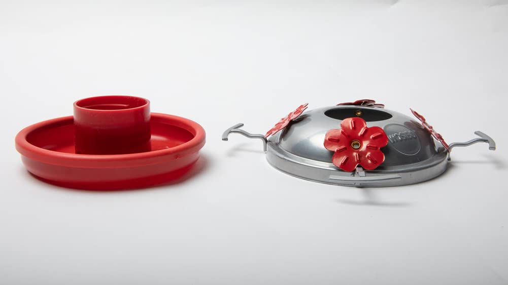 Jola's House 4-pack seal rings kit keeps hummingbird feeders maintained and ready.