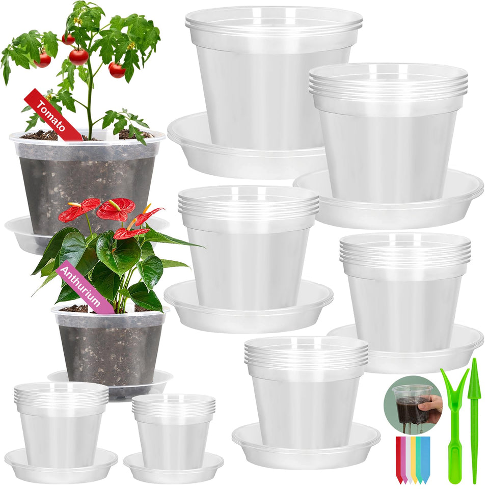 Jollidecor clear 2.8-inch nursery pot with drainage for seed-starting