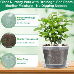 Jollidecor clear 3.1-inch nursery pot with drainage for orchids
