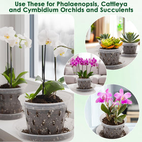 Jollidecor clip and stake kit helps upright growth and stability