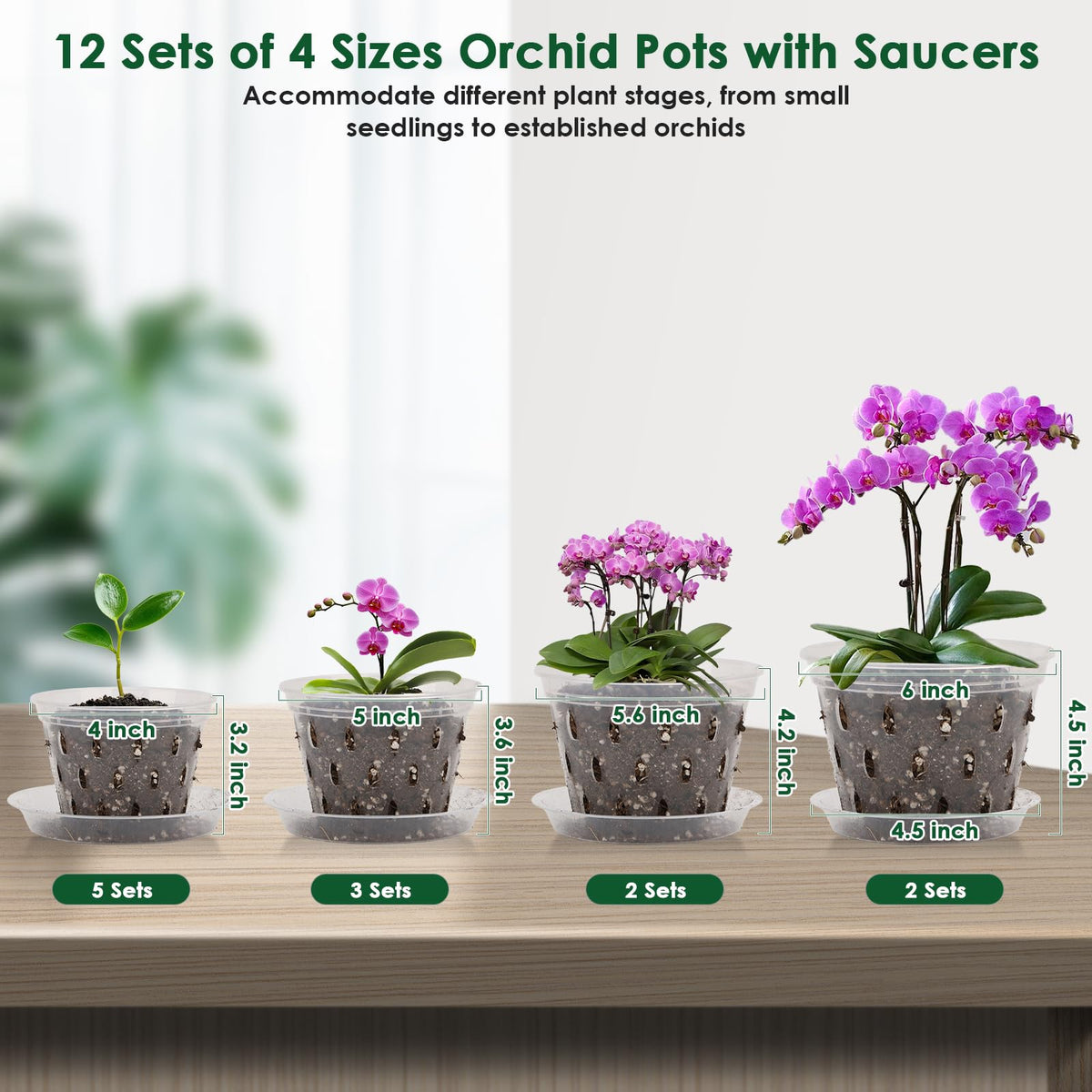 Jollidecor orchid pot 5-inch with holes for drainage and visibility
