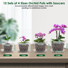 Jollidecor orchid pot 5-inch with holes for drainage and visibility