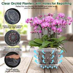 Jollidecor orchid pot 5.6-inch with holes supporting varied orchids