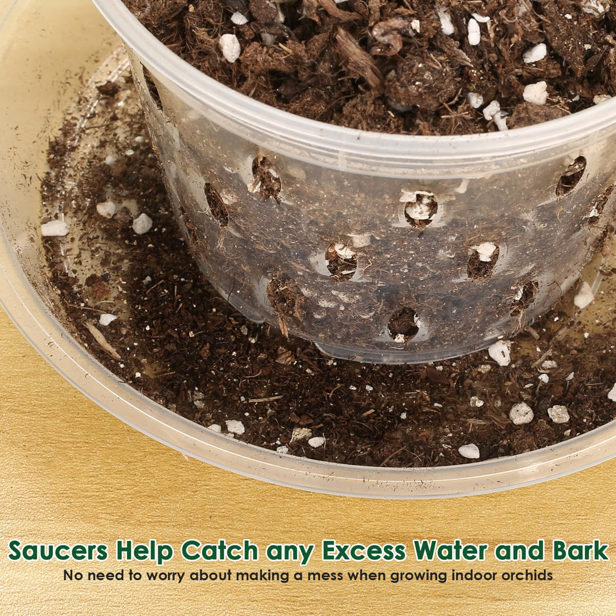 Jollidecor orchid pot 6-inch with holes for sturdy root growth