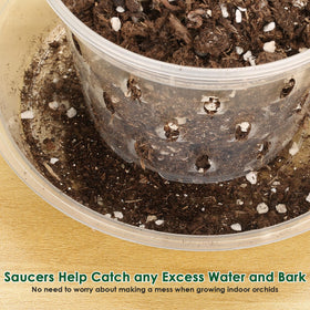 Jollidecor orchid pot 6-inch with holes for sturdy root growth