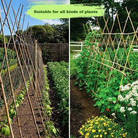 Jollybower 50-stake pack offers eco-friendly natural garden support.