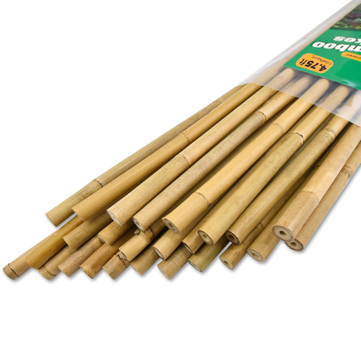 Jollybower bamboo stake, 4.75ft long, ideal garden support for tall plants